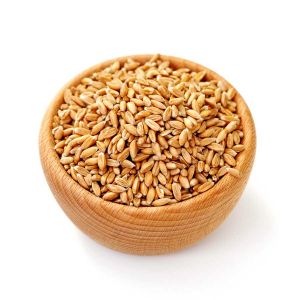 Jave Wheat (1 Kg)